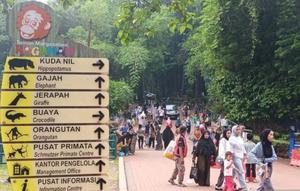 Sejumlah warga mengunjungi Taman Margasatwa Ragunan, di Jakarta Selatan (Jaksel). (Antara)