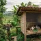Cara Membuat Kandang Kelinci Sendiri dari Kayu, Bambu, dan Kawat