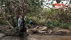 liputan6