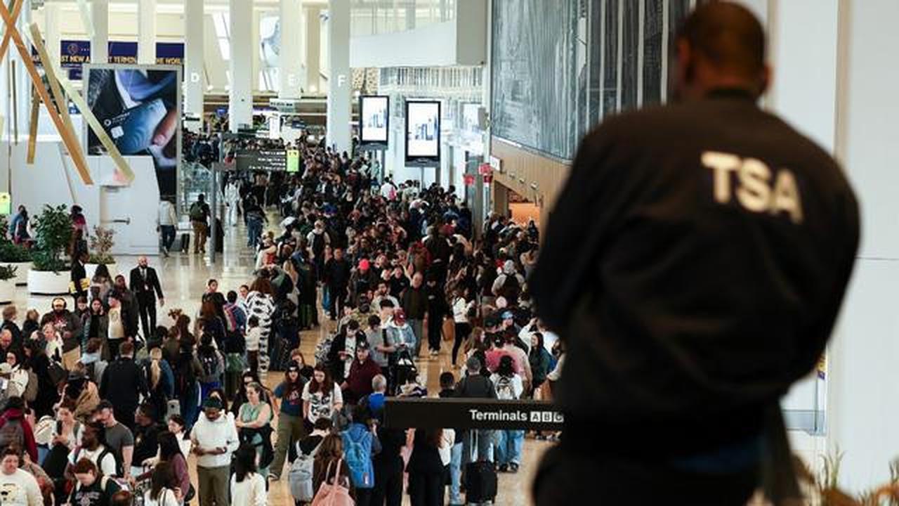 Kacaunya Bandara AS, Petugas Mogok Kerja Hingga Antrean Check-in Membludak
