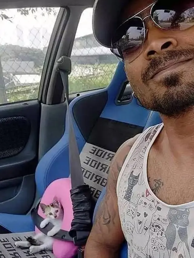 7 Potret Nyeleneh Orang Jalan-Jalan Bareng Kucing Ini Kocak Banget