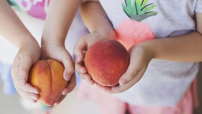 copyright irisandmaeve.com