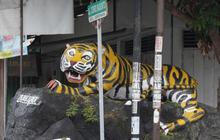 Mengenal Kampung Harimau di Madiun, Berawal dari Kiai yang Gemar Memelihara Harimau