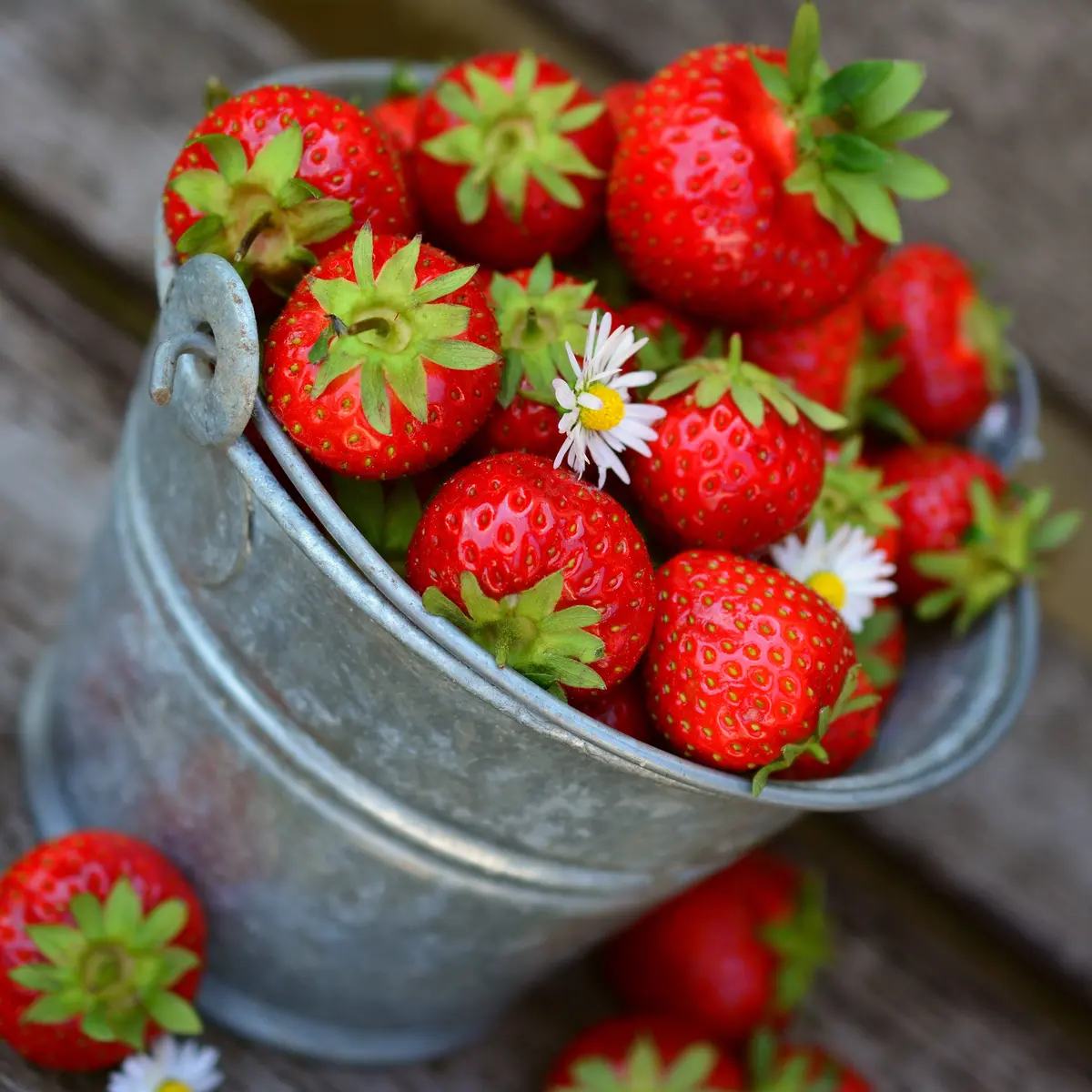 Manfaat Buah Stroberi bagi Kesehatan Tubuh, Cegah Penyakit