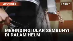 Selalu periksa kondisi semua perlengkapan kendaraan sebelum berangkat. Seperti pria satu ini yang mendapati hal tak terduga di helmnya.