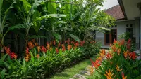 7 Jenis Tanaman Pisang Hias yang Mudah Dirawat di Rumah untuk Mempercantik Teras