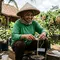 8 Cara Sambung Pucuk Pohon Kelengkeng agar Berbuah Lebat, Jangan Salah Pilih Batang
