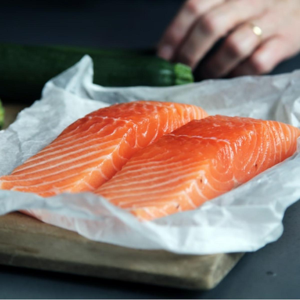 Gambar Ilustrasi Ikan Salmon