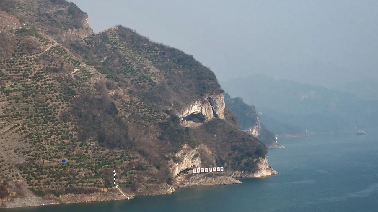Gunung Anjing di China Viral, Diburu Para Turis Pecinta Anabul