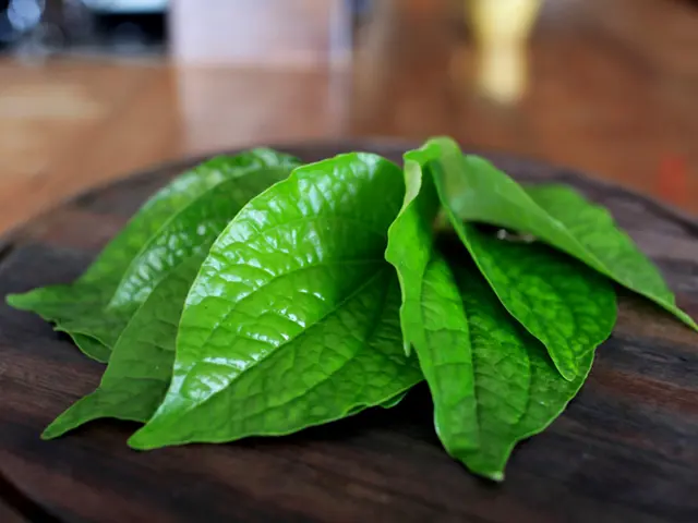 5 Cara atasi bau mulut secara alami, konsumsi buah jeruk bisa bantu membersihkan bakteri