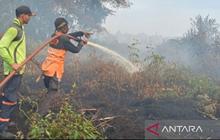 BMKG Wanti-wanti: Asap Karhutla Aceh Selatan Berpotensi Menyebar, Sudah 72 Hektare Lahan Terbakar!