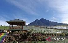 50 Pemandu Gunung Masurai Merangin Kantongi Sertifikat BNSP, Jamin Keselamatan Pendaki