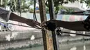 Hendi (40) saat menerima uang dari salah satu penumpang perahu eretan di Kali Sunter, Rawa Badak, Jakarta, Rabu (20/1/2021). Jasa perahu eretan di Rawa Badak sudah ada sejak tahun 80-an dengan kondisi kali yang masih lebar. (merdeka.com/Iqbal S. Nugroho)