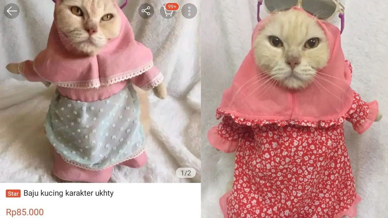 baju muslim kucing