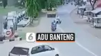 ADU BANTENG