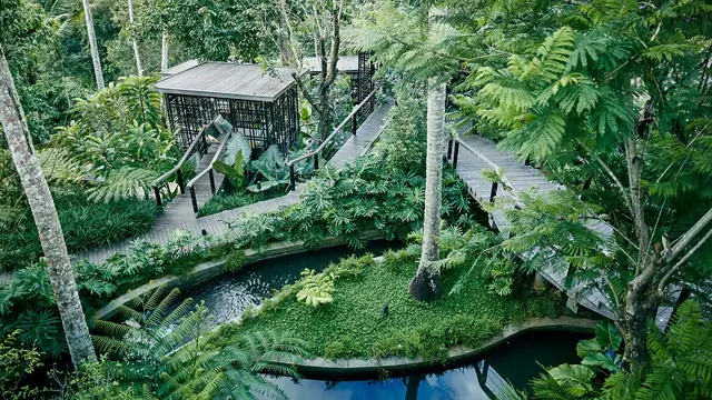 Subak dan jalanan kayu di dalam HOSHINOYA Bali