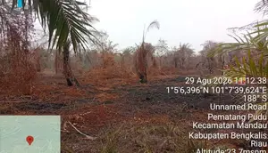 Pemilik Kebun Sawit di Riau Jadi Tersangka