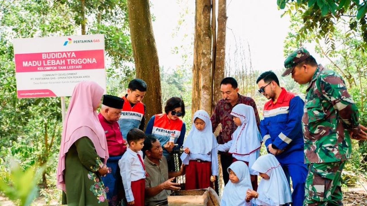 Trivia: Libatkan Siswa SD Panen Madu, Program TJSL Pertagas Perkuat Kemandirian Masyarakat Riau