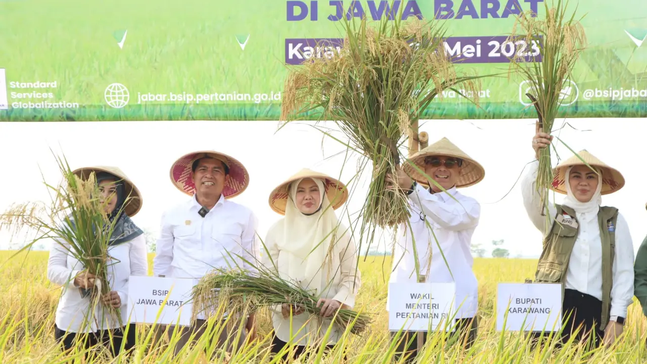 Strategi Kementan Hadapi El Nino dan Jaga Produktivitas Pertanian