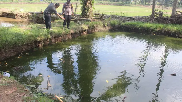 Detik Detik-Detik Bocah 8 Tahun di Pringsewu Lampung Tewas Tenggelam di Kolam Ikan, Sempat Teriak Minta Tolong