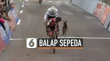 vertical balap sepeda