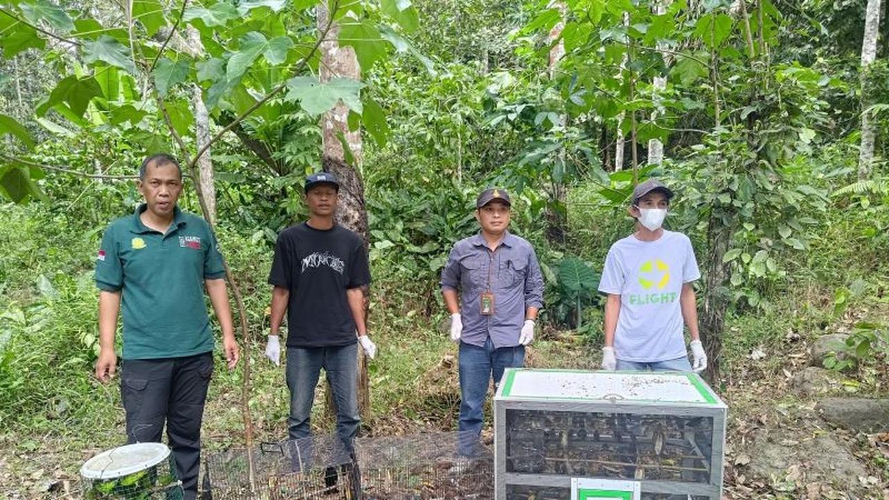 Sinergi Aparat Gagalkan Pengiriman Burung Ilegal 203 Ekor di Tol Trans Sumatera