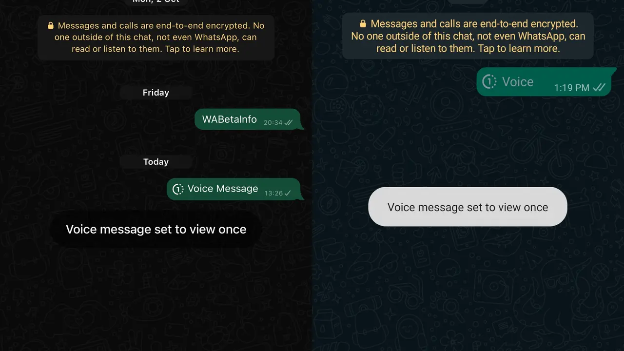 Fitur Voice Note Sekali Dengar
