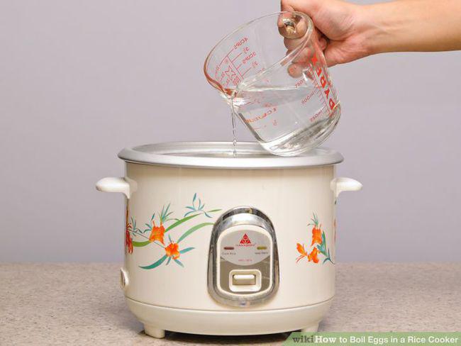 Foto: copyright wikihow.com