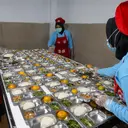 335 Murid di Banggai Kepulauan Sulteng Diduga Keracunan MBG hingga Kejang: BGN Minta Maaf, Janji Investigasi