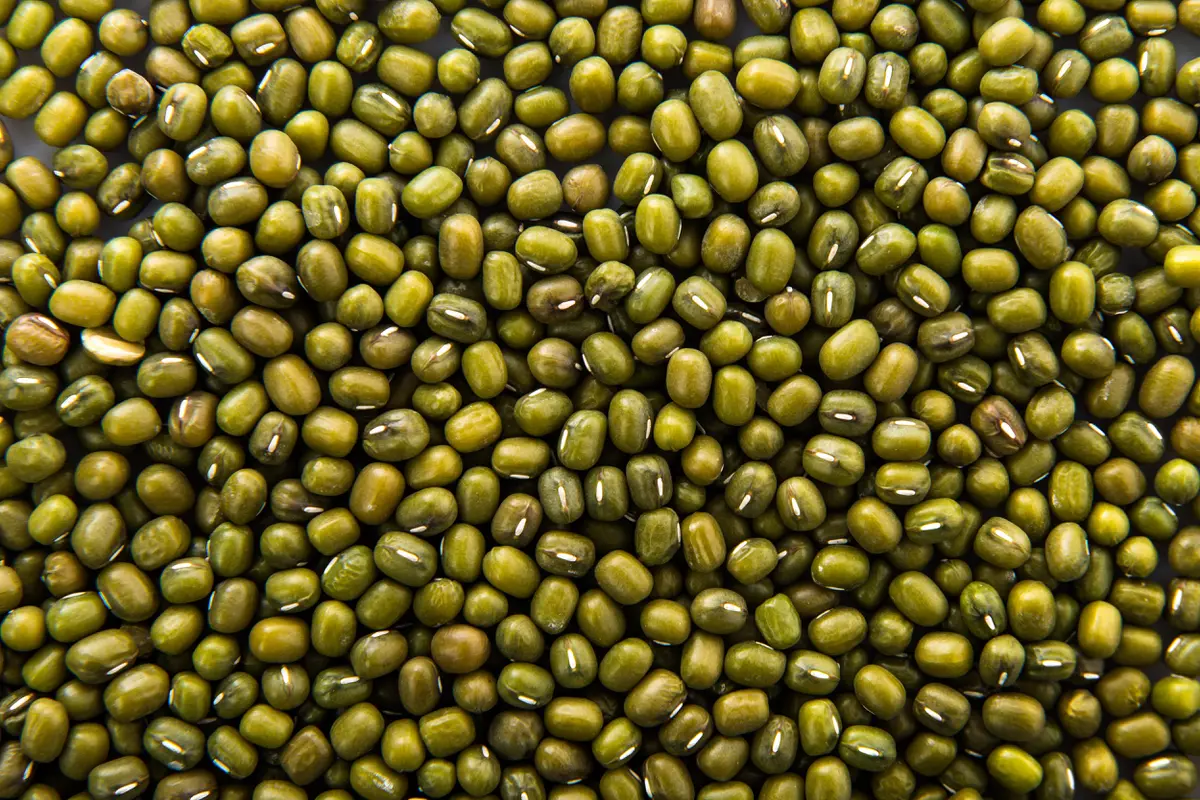Ilustrasi kacang hijau (Foto: freepik/luis_molinero)