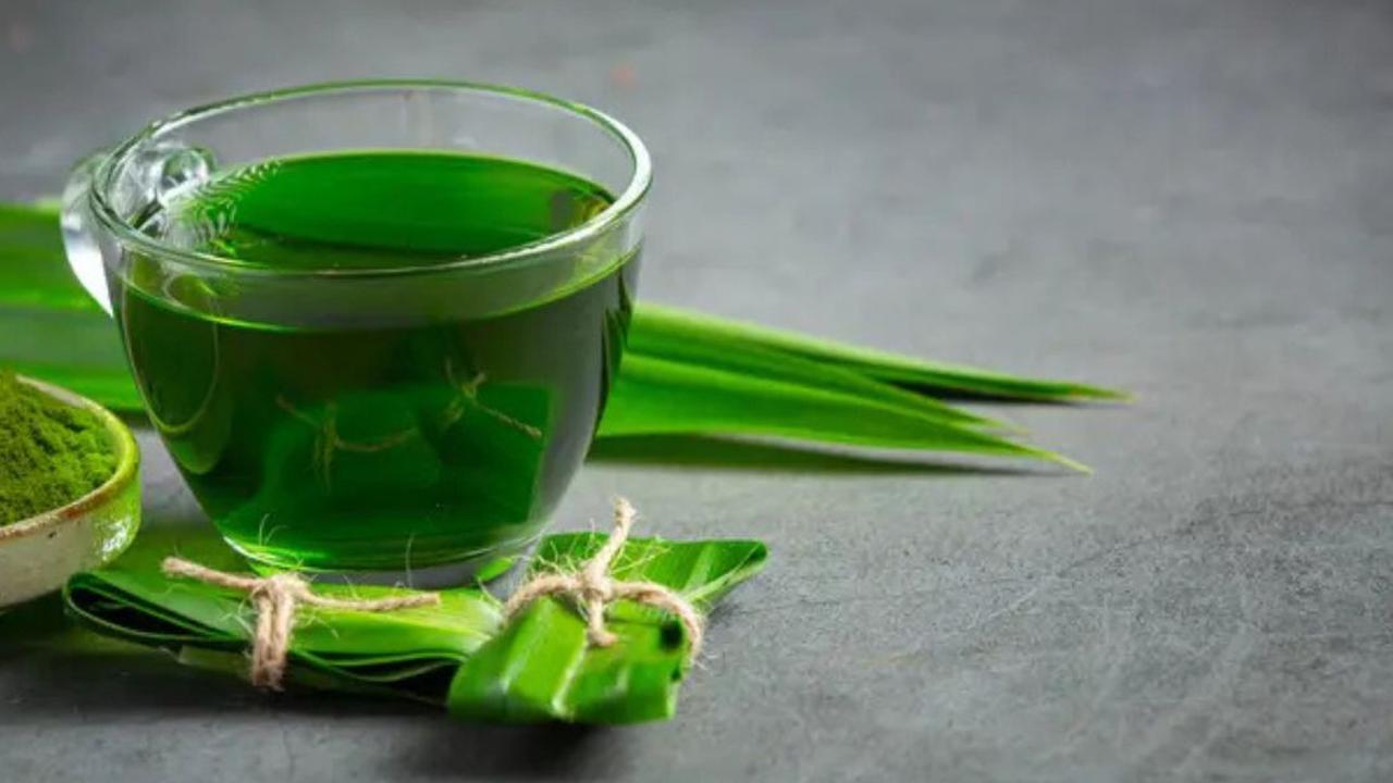 5 Rebusan Daun yang Efektif untuk Meredakan Asam Lambung, Hemat dan Praktis untuk Disiapkan