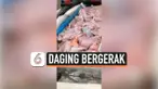 DAGING BERGERAK