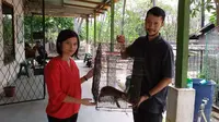 Warga Palembang, Rio Parlimo, menyerahkan kucing hitam ke BKSDA (Raden Fajar/Liputan6.com)
