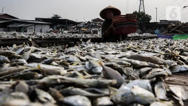 Realisasi Dana Pemulihan Ekonomi Nasional