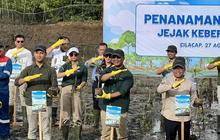 Tahukah Anda Berapa Banyak? Pertamina Tanam 800 Mangrove di Kilang Cilacap, Wujud Komitmen Lingkungan