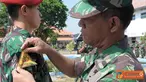 Citizen6, Surabaya: Selain membentuk prajurit yang tangguh, tanggun dan trengginas, kursus ini sebagi upaya membentuk jati diri para prajurit agar memiliki kemampuan dan mobilitas yang tinggi. (Pengirim: Penkobangdikal)