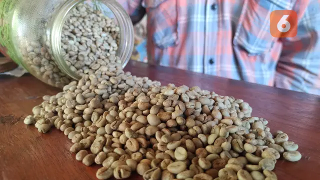 Bijih Kopi Dulamayo