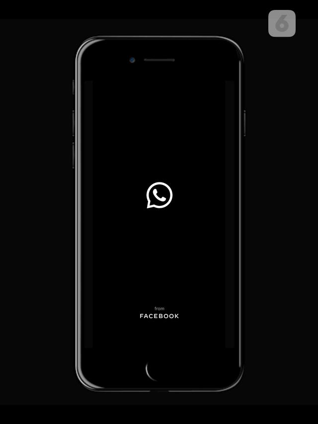 Ilustrasi WhatsApp, Aplikasi WhatsApp