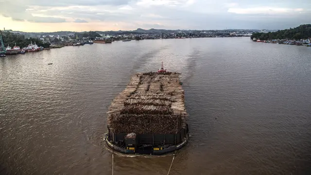 FOTO: Potret Kapal Tongkang Pengangkut Kayu Gelondongan di Sungai Mahakam
