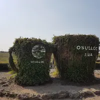 Area depan perkebunan teh milik Amorepacific