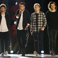 One Direction (via usmagazine.com)