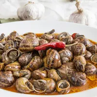 ilustrasi tutut keong santan/Isaphoto2016/Shutterstock