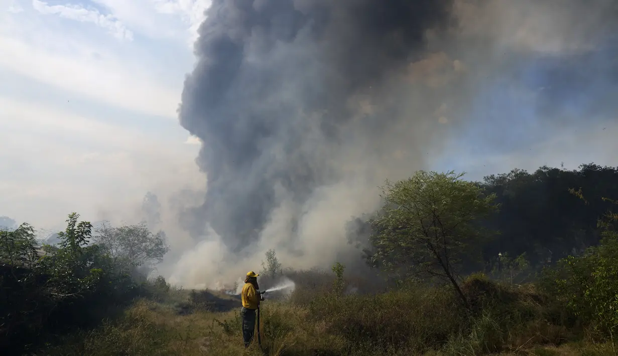 Seorang petugas pemadam kebakaran sukarela menggunakan tusukan dari selang untuk membasahi sisa-sisa gubuk yang terbakar selama kebakaran semak di lingkungan Banco San Miguel di Asuncion, Paraguay (18/1/2022). (AP Photo/Jorge Saenz)