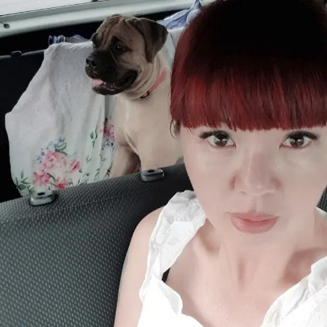 Kisah Anjing Bernama Maru yang berjalan 200 Km Untuk Kembali Ke Majikannya