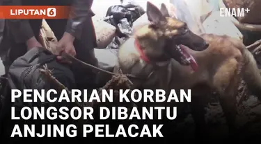 Anjing Pelacak Diterjunkan Untuk Cari Korban Longsor Bandung Barat