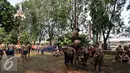 Peserta berusaha memanjat pohon pinang dalam acara semarak 17 Agustusan Kemenkumham di BPSDM Kemenkumham, Depok, Jumat (22/8). (Liputan6.com/Yoppy Renato)