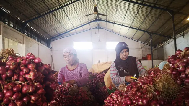 Produksi Berlimpah Ekspor Bawang Merah Probolinggo Serbu Thailand