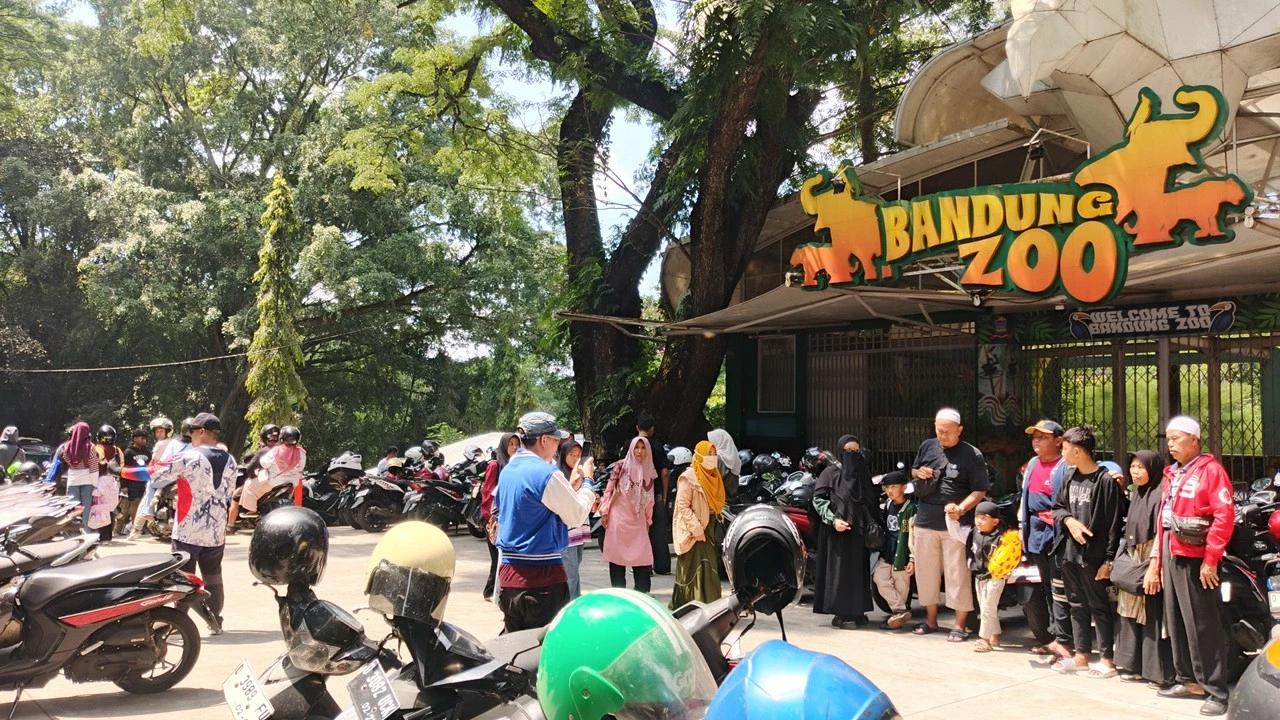 Pro Kontra di Balik Wacana Mengubah Fungsi Kebun Binatang Bandung Zoo