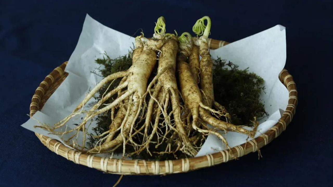 Ginseng