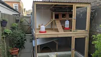 9 Desain Kandang untuk Ternak Ayam Sekaligus Bebek, Solusi Efisien untuk Peternak Modern